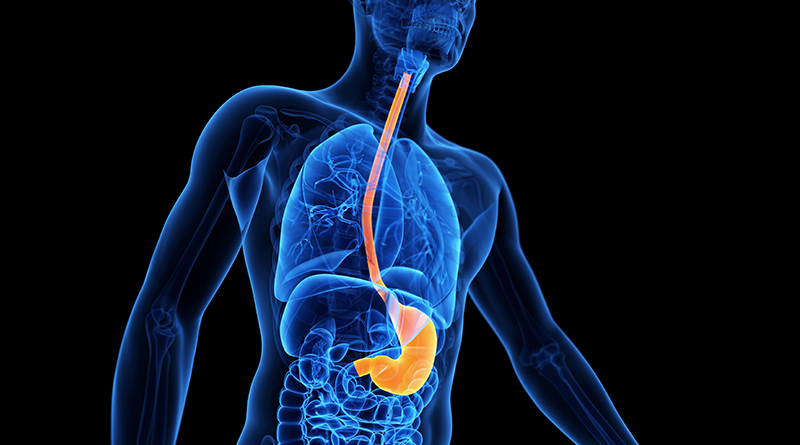 Istihadhah selain faktor medikal: suatu huraian ilmiah